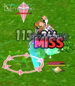 gohujin_no_katuyakuburi.JPG